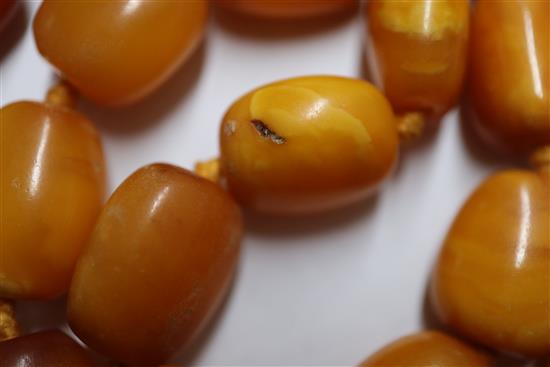 A single strand amber bead necklace, gross weight 48 grams, 57cm.